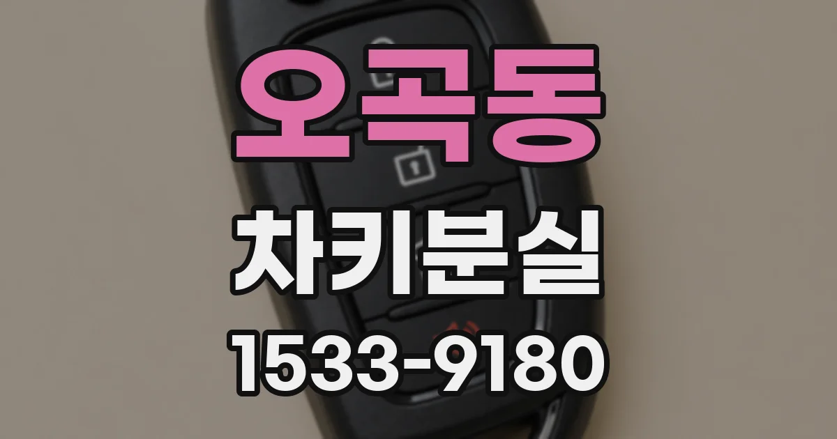 오곡동 차키분실