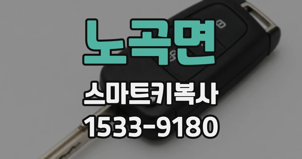 노곡면 스마트키복사
