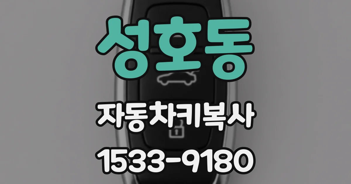 성호동 자동차키복사