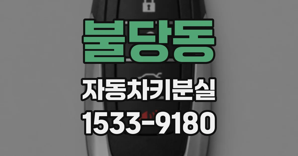 불당동 자동차키분실