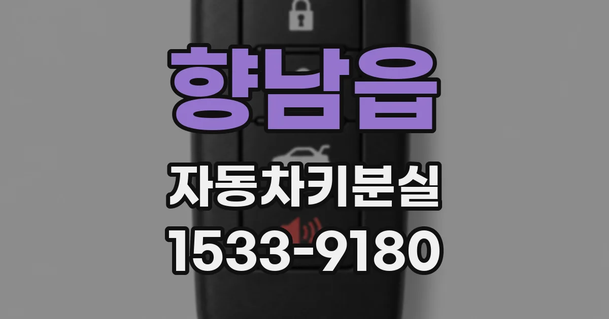 향남읍 자동차키분실