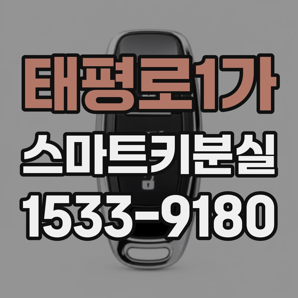 태평로1가 스마트키분실