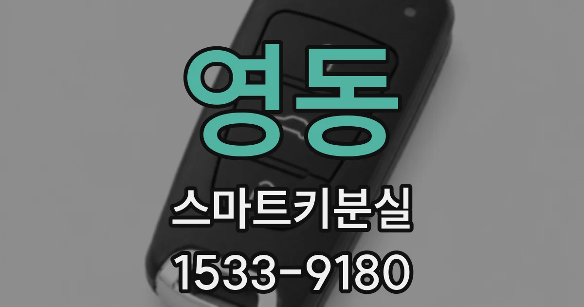 영동 스마트키분실