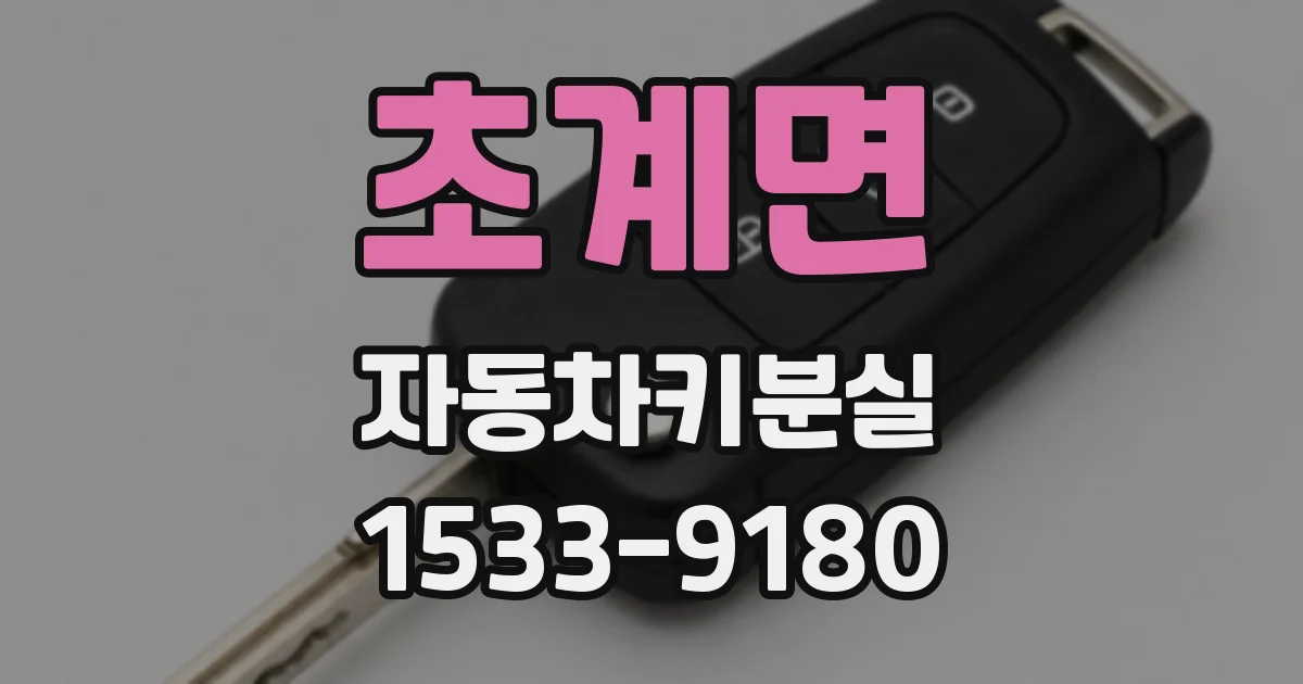 초계면 자동차키분실