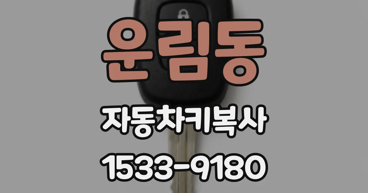 운림동 자동차키복사