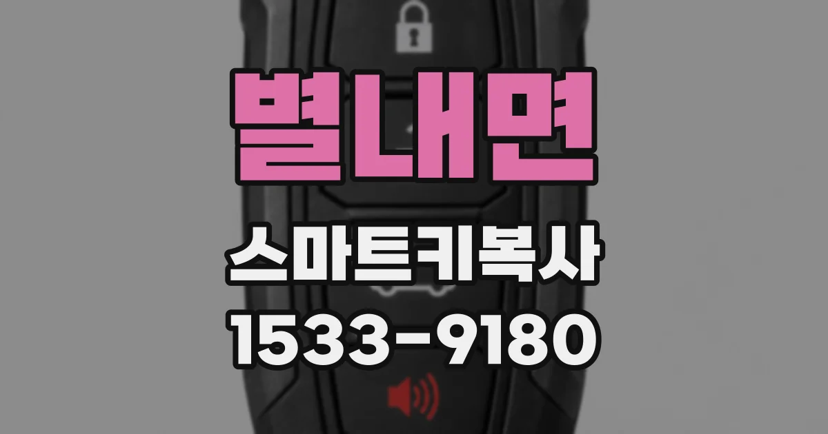 별내면 스마트키복사