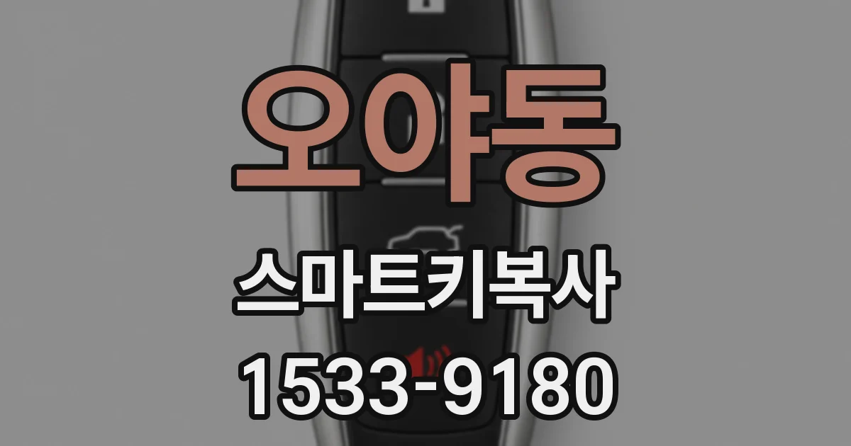 오야동 스마트키복사