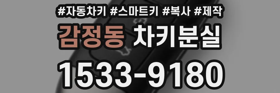 감정동 차키분실