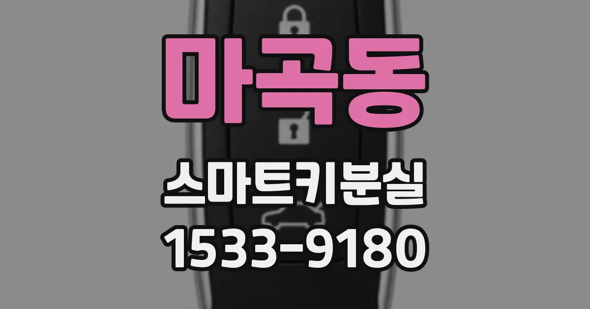마곡동 스마트키분실