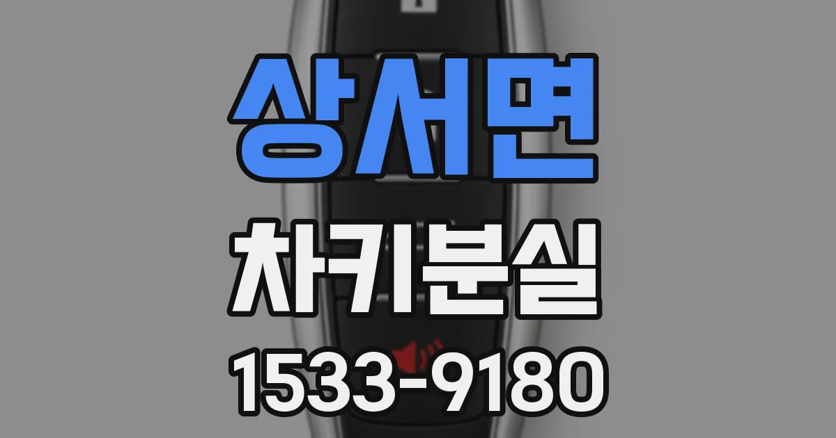 상서면 차키분실