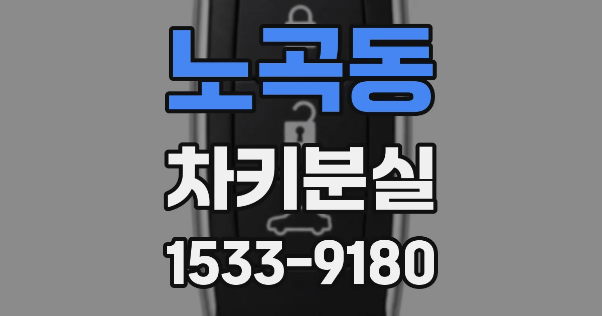 노곡동 차키분실