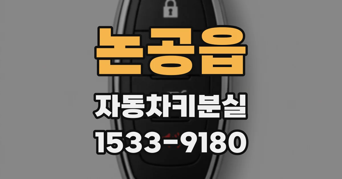 논공읍 자동차키분실