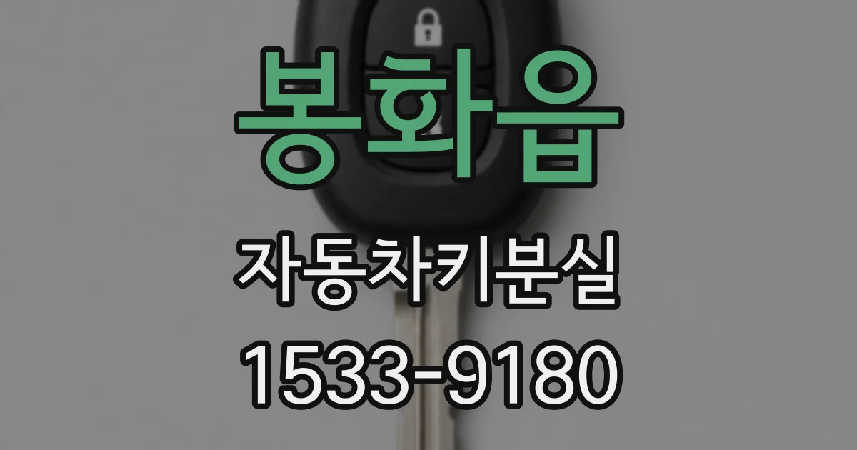 봉화읍 자동차키분실