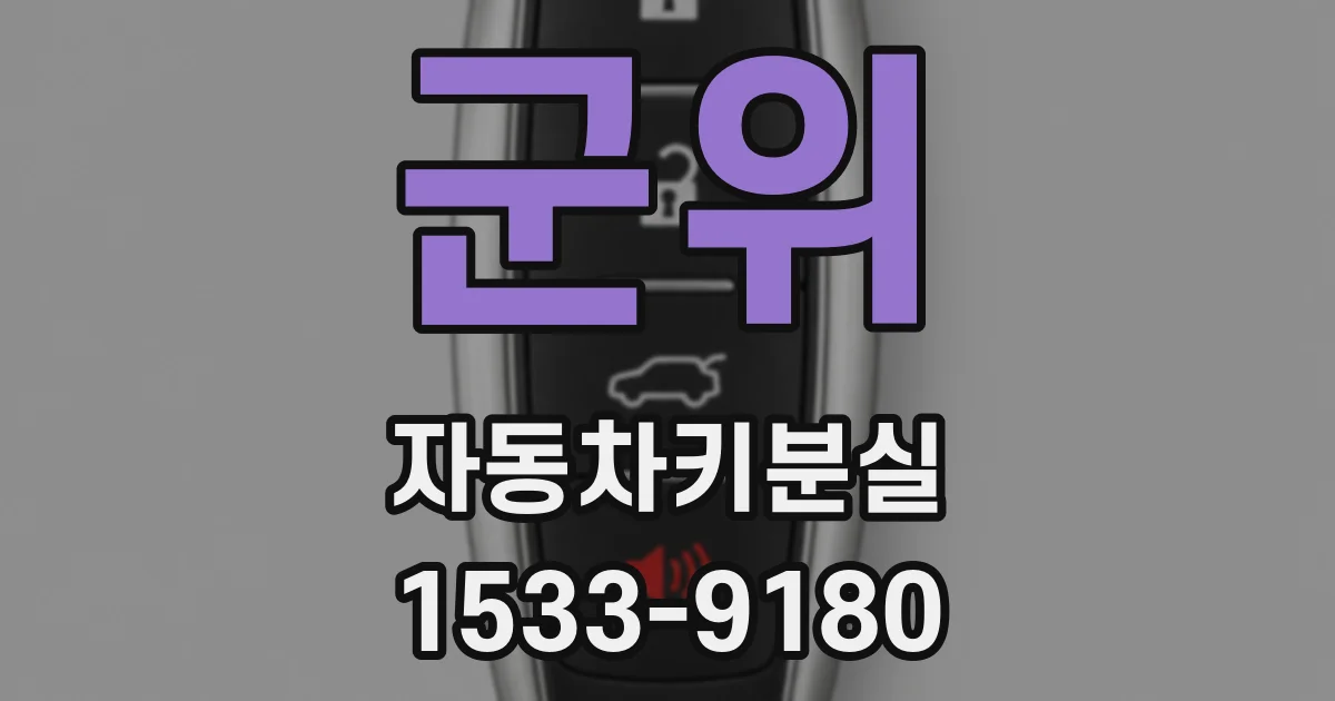 군위 자동차키분실