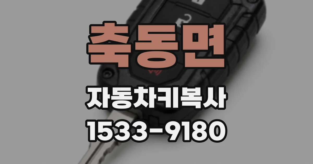 축동면 자동차키복사