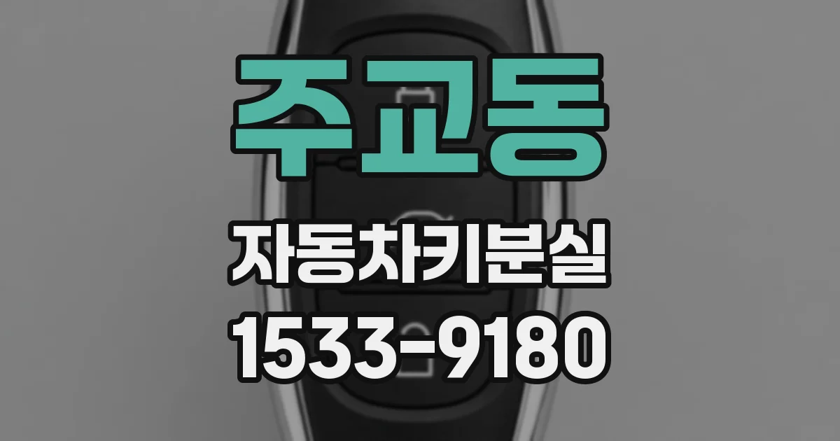 주교동 자동차키분실