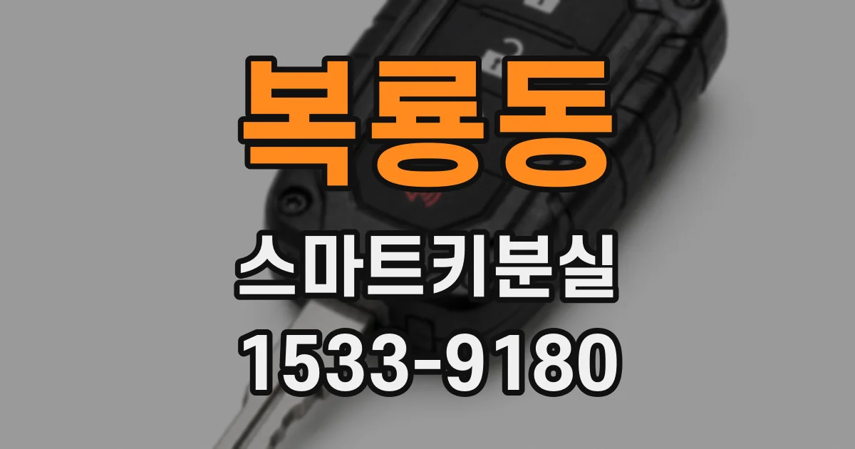 복룡동 스마트키분실