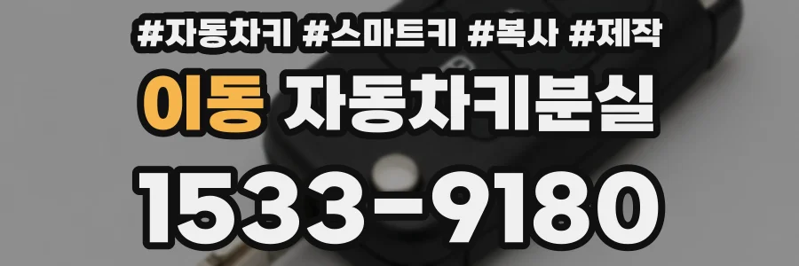이동 자동차키분실