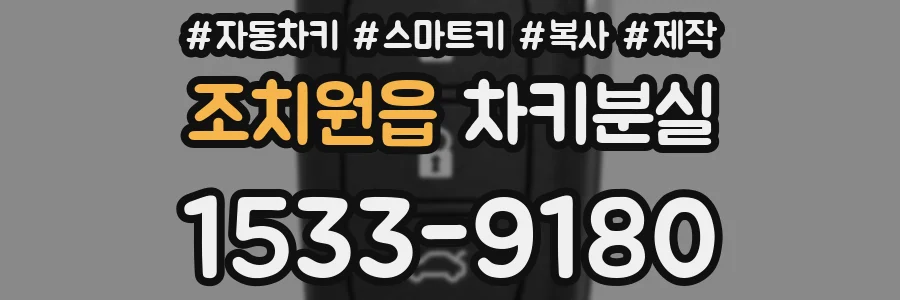 조치원읍 차키분실