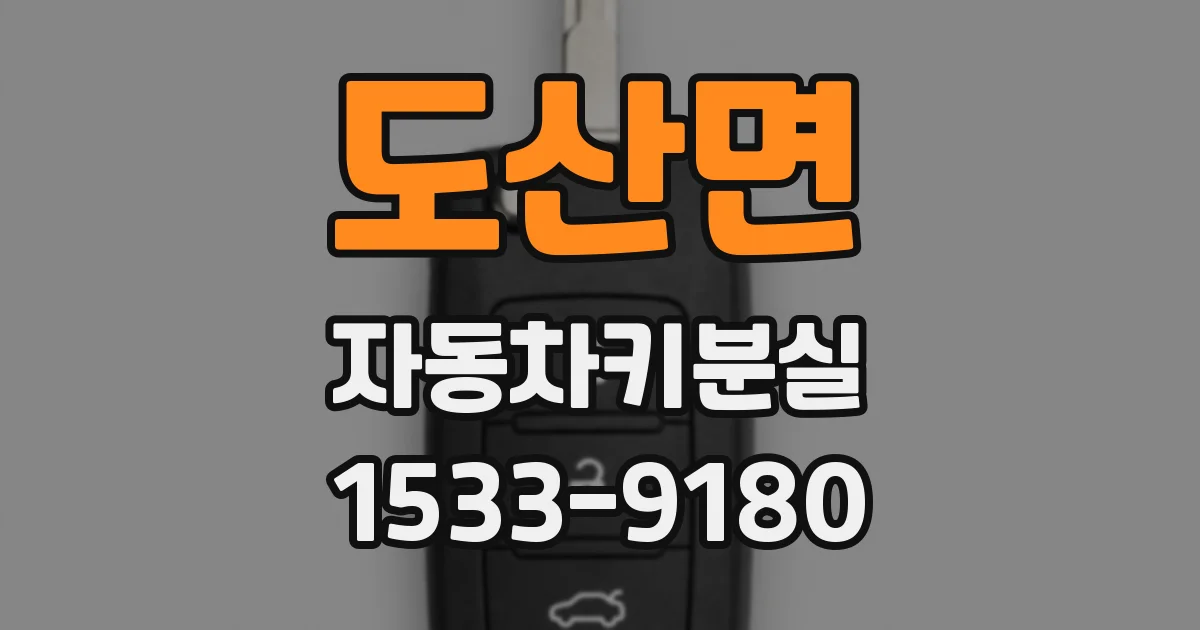 도산면 자동차키분실