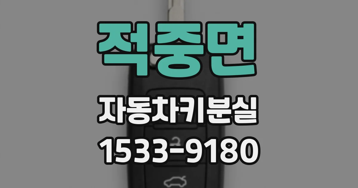 적중면 자동차키분실