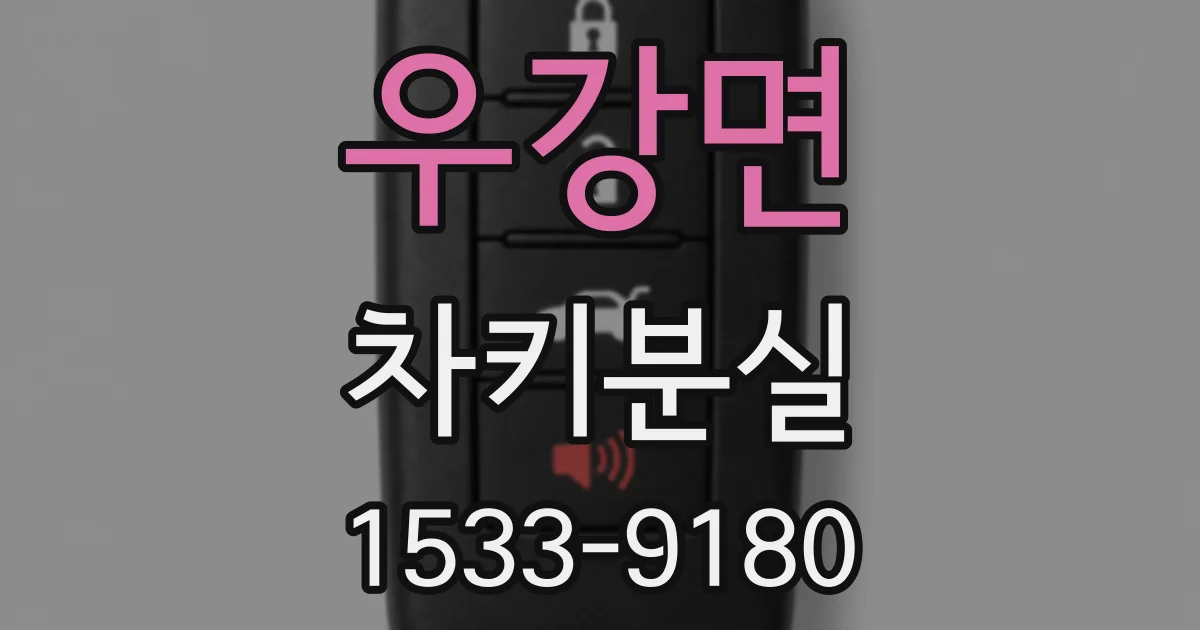 우강면 차키분실
