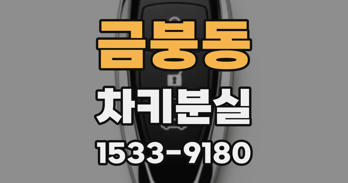 금붕동 차키분실