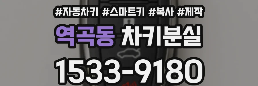 역곡동 차키분실