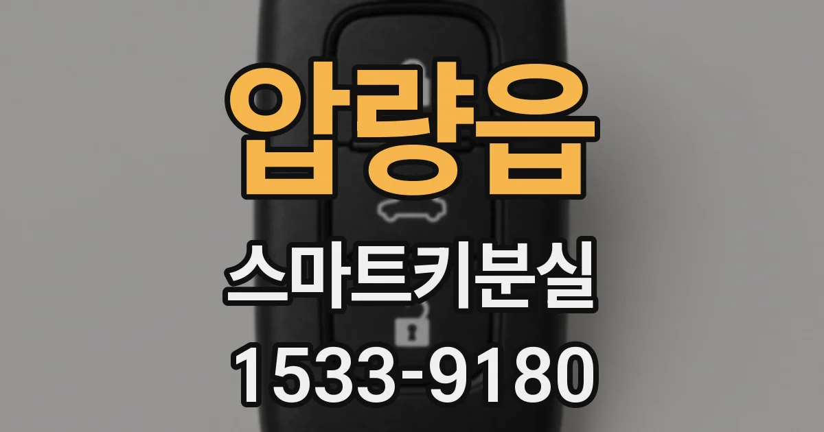 압량읍 스마트키분실