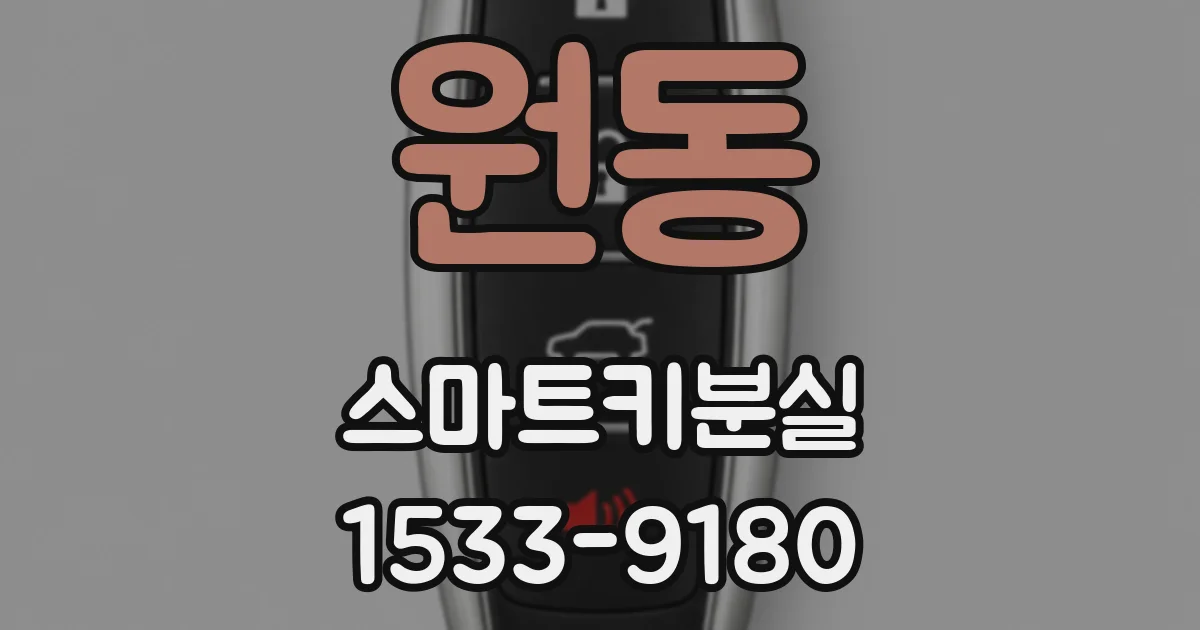 원동 스마트키분실
