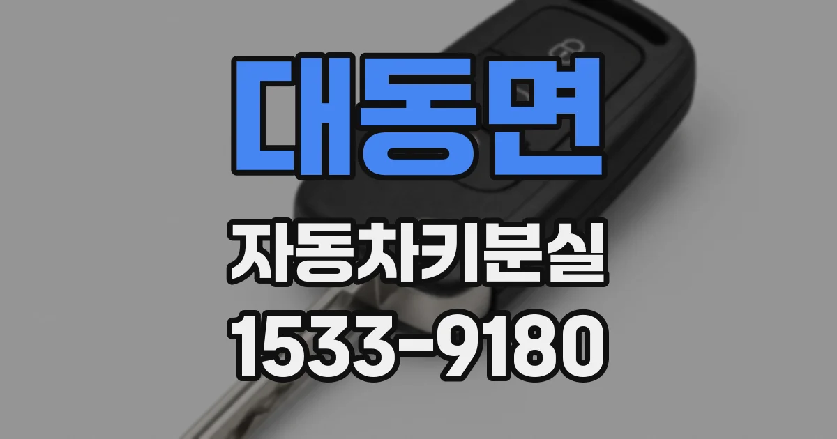 대동면 자동차키분실