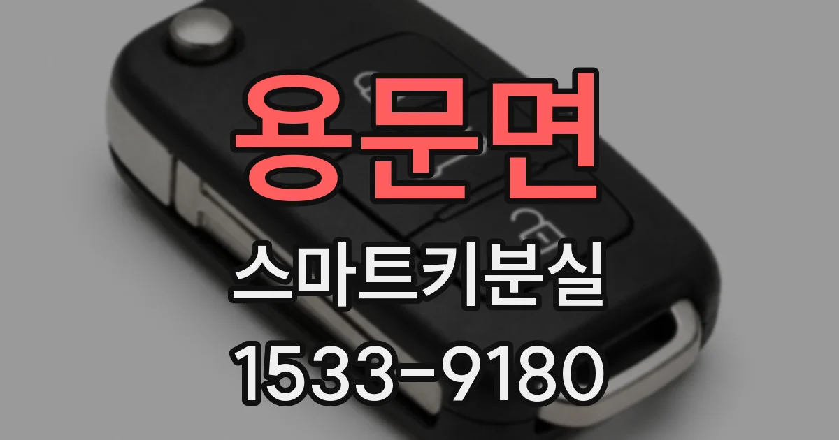 용문면 스마트키분실