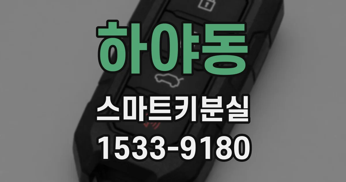 하야동 스마트키분실