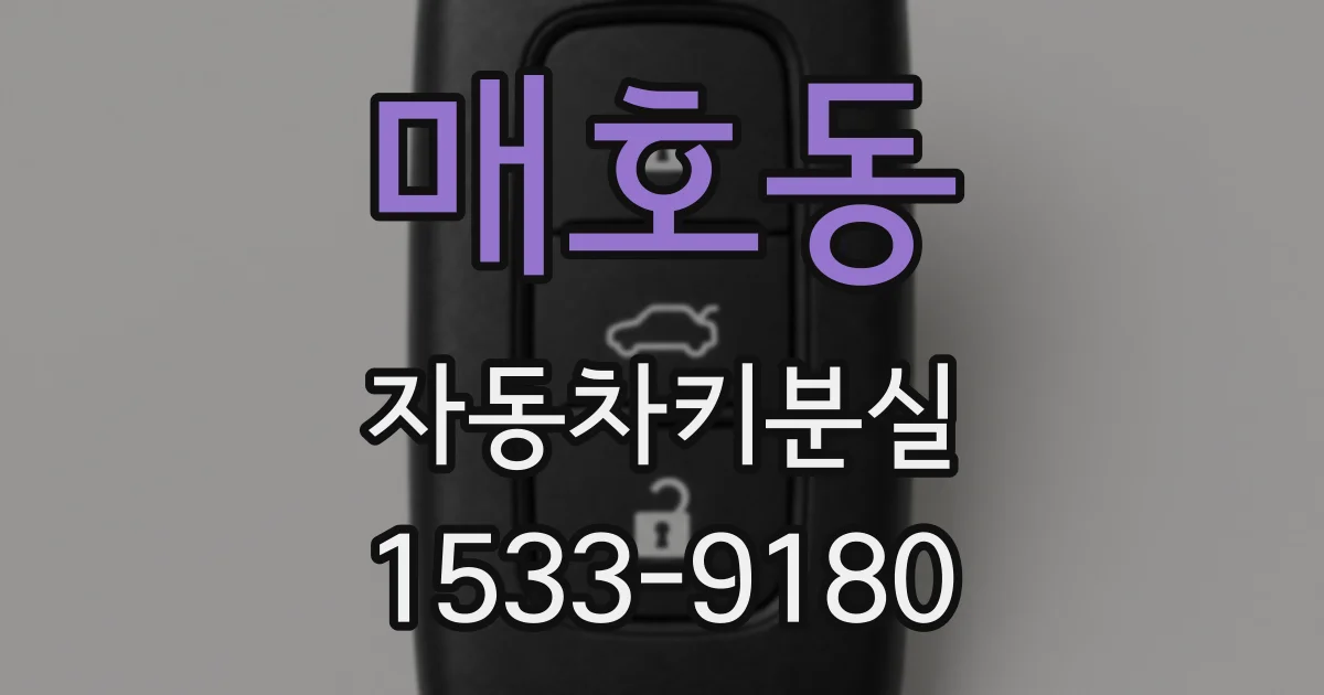 매호동 자동차키분실
