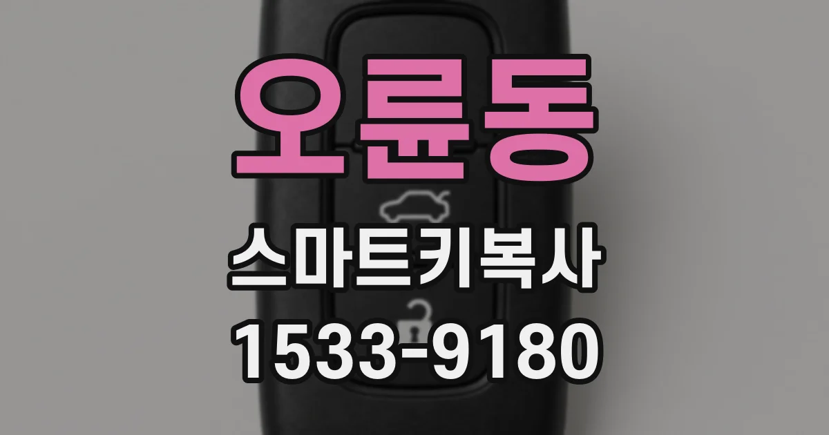 오륜동 스마트키복사