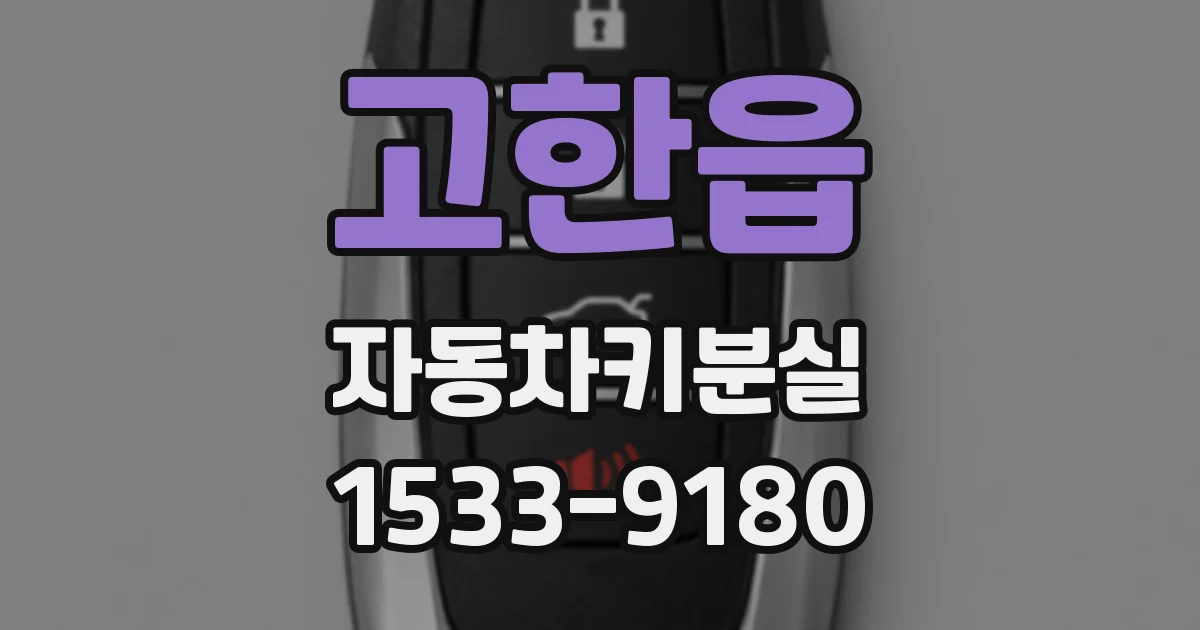 고한읍 자동차키분실