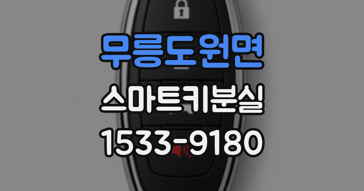 무릉도원면 스마트키분실