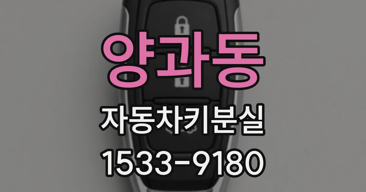 양과동 자동차키분실