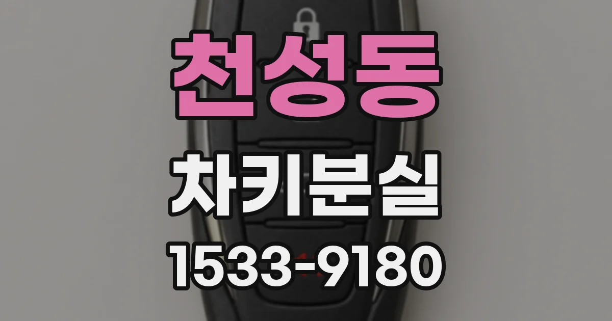 천성동 차키분실