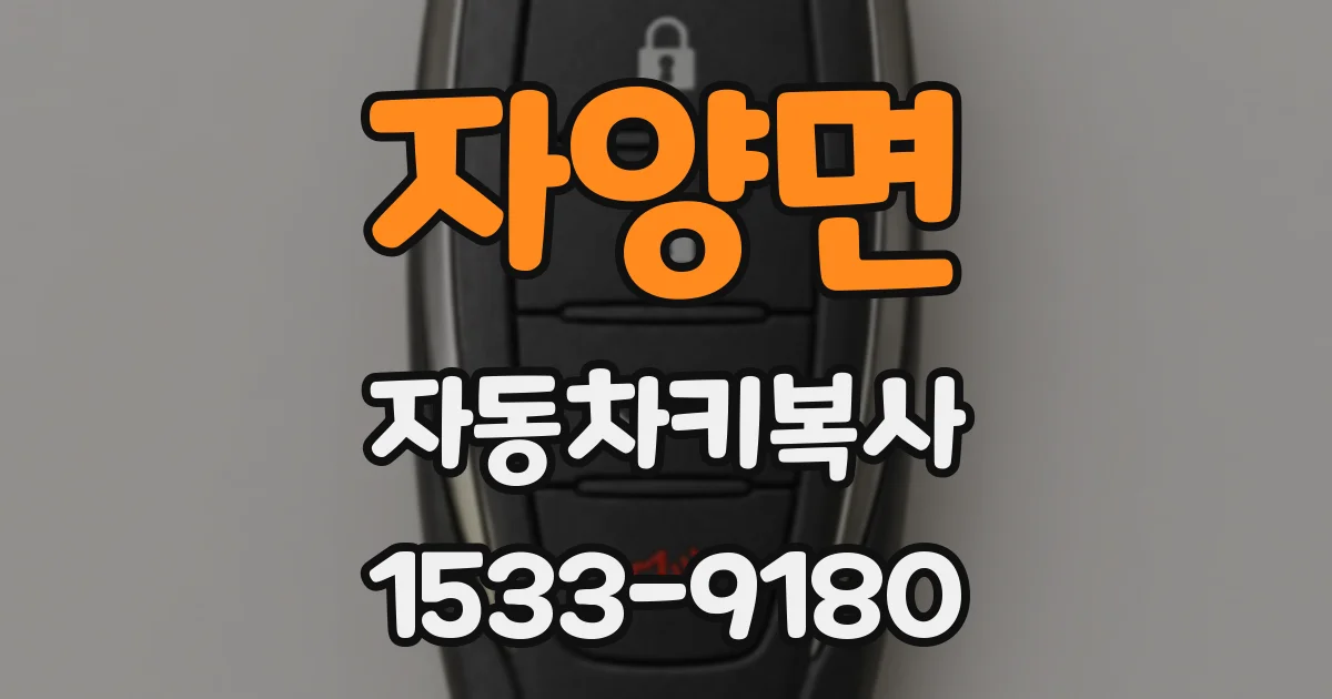 자양면 자동차키복사