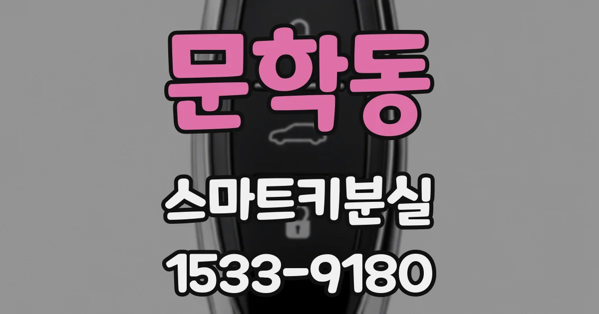 문학동 스마트키분실