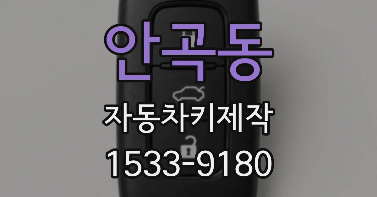 안곡동 자동차키제작