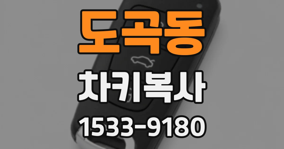 도곡동 차키복사