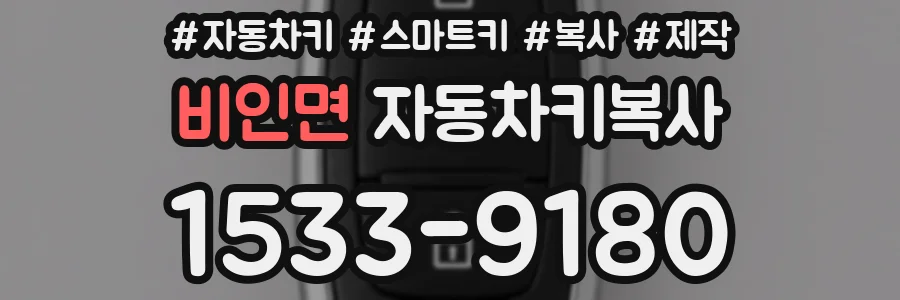 비인면 자동차키복사