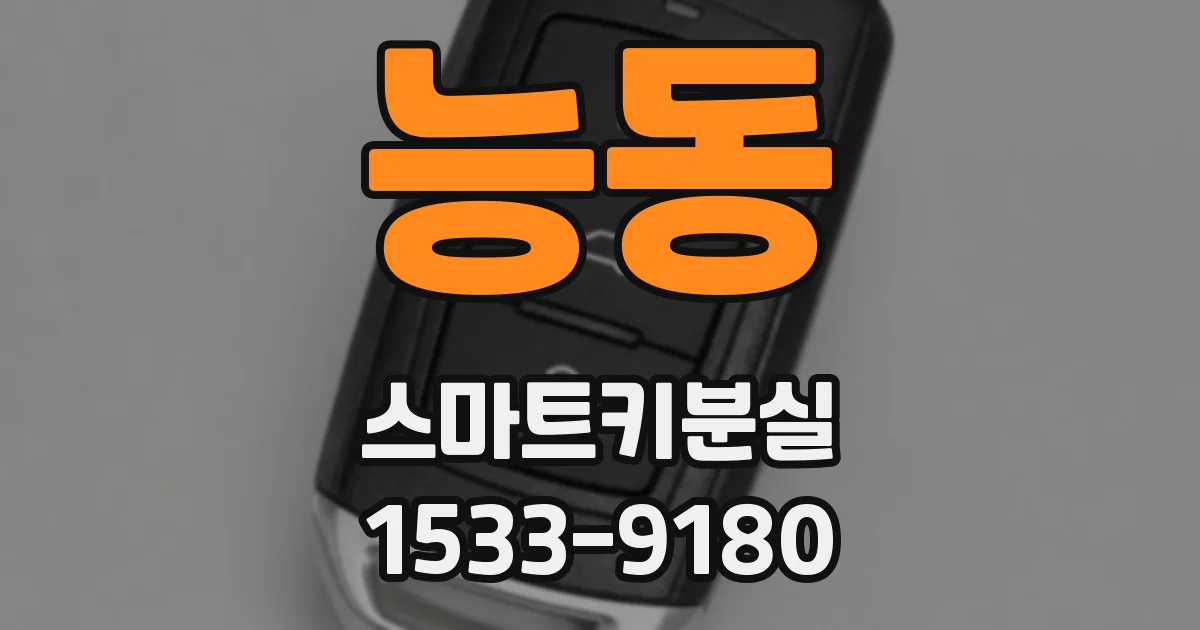 능동 스마트키분실