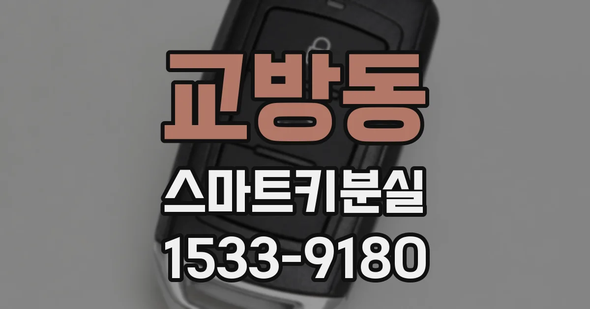 교방동 스마트키분실
