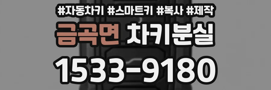 금곡면 차키분실