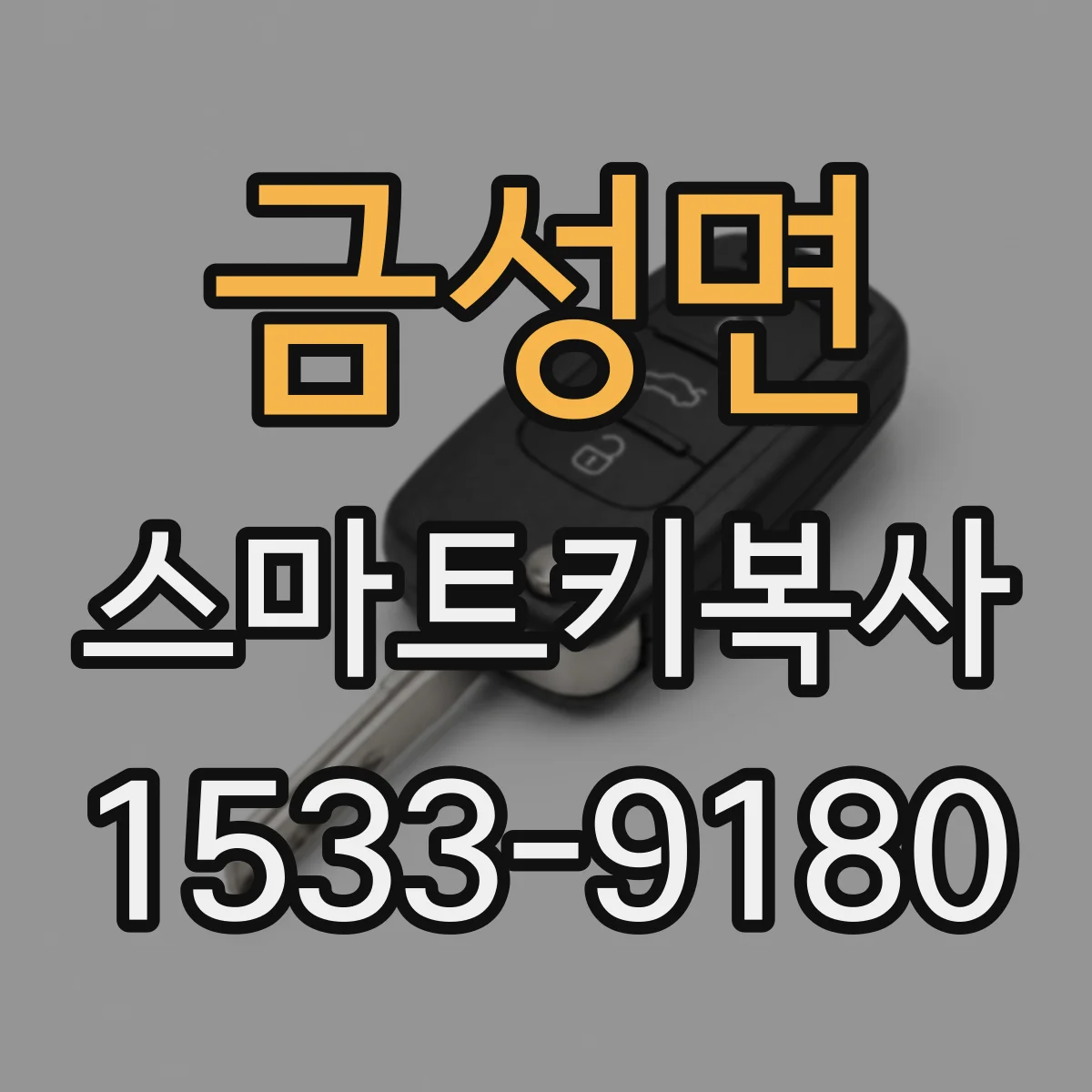 금성면 스마트키복사