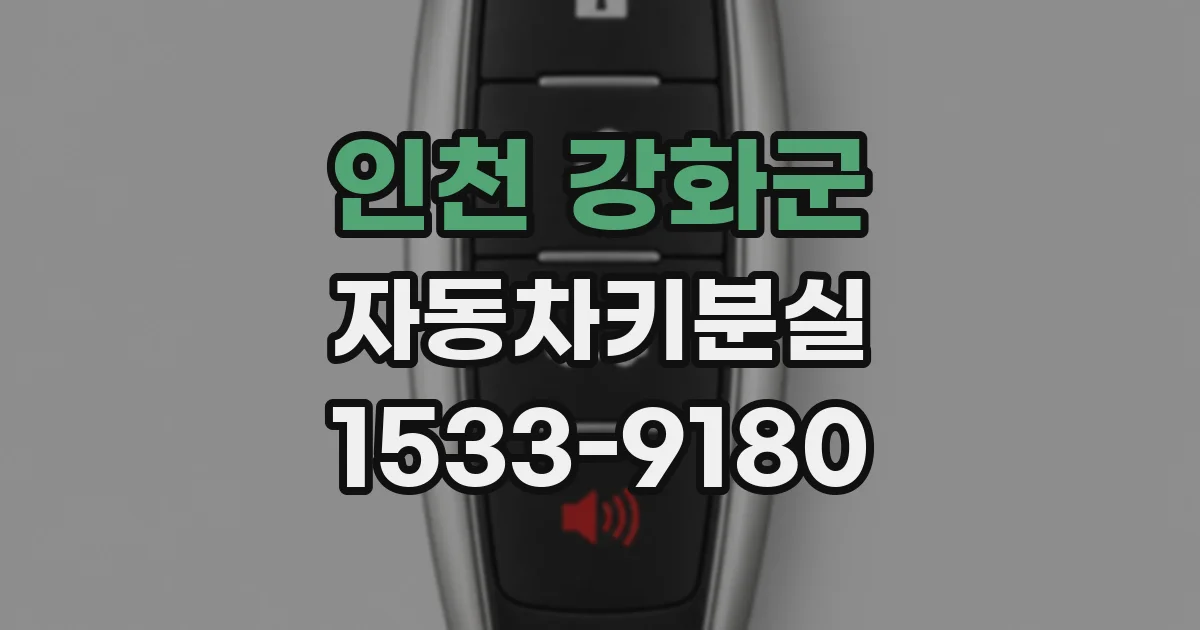 인천 강화군 자동차키분실