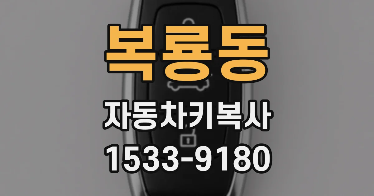 복룡동 자동차키복사